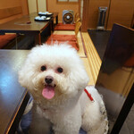 用戶對於白金台すし兆的評論圖