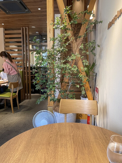 User's recommendation image for paraiso