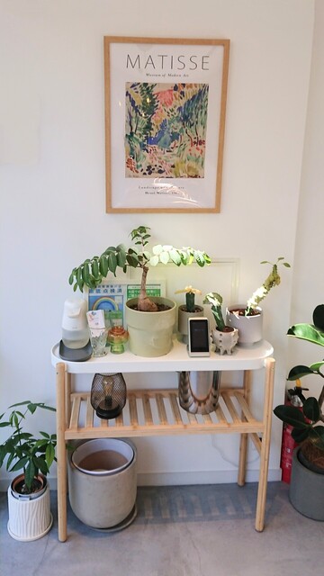 User's recommendation image for cafe satsuki