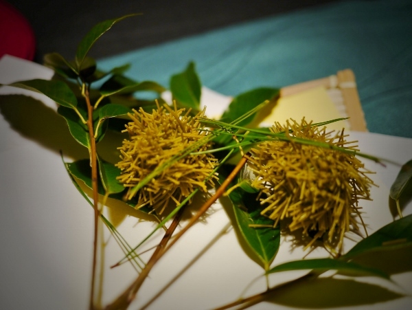 用戶對於閑臥庵的評論高清圖