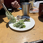 用户对于景信山頂上　景信茶屋　青木的评论图