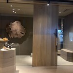 User's review image for anu