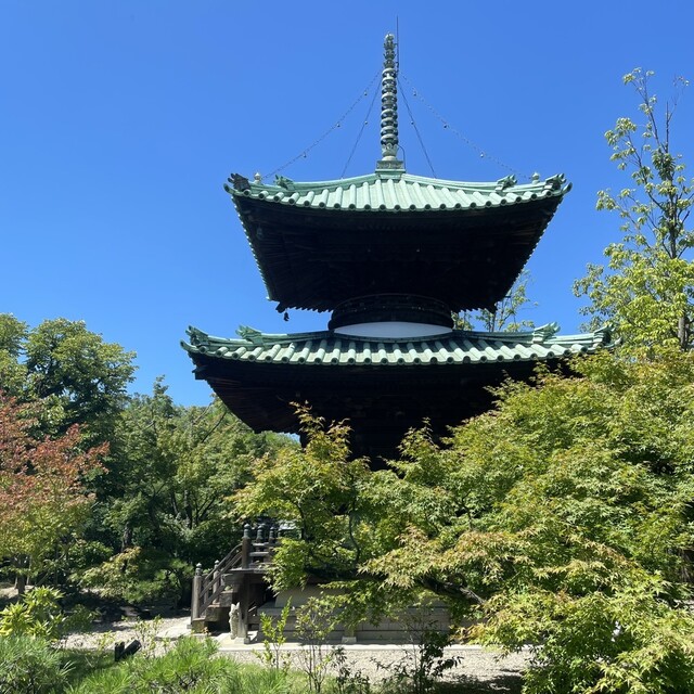 User's recommendation image for あみじま茶屋