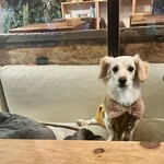 User's review image for BONDSHOUSE