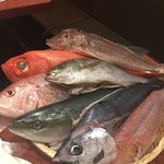 User's review image for 海鮮出汁居酒屋　淡路島の恵み だしや 渋谷宮益坂
