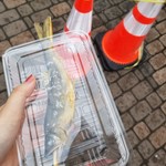 用户对于姫鱒屋 野村商店的评论图