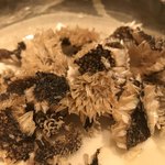 用户对于博多ひさご的评论图