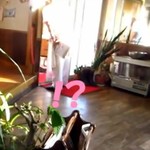 用户对于伍味八珍的评论图