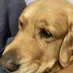 User's review image for cafe de monca