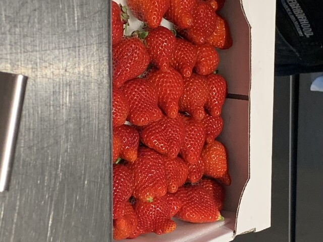 用户对于THE SOUR的评论高清图
