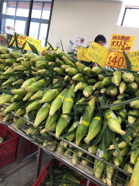 User's review image for 新鮮ひろば かのな