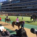 用戶對於吉野家 東京競馬場店的評論圖
