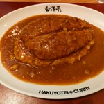用户对于旨辛カレー専門店 白洋亭的评论图