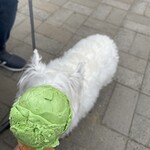 用戶對於ブルーシール的評論圖