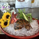 用户对于表参道うかい亭的评论图