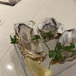 用戶對於OYSTER&Bistro 魚秀 代々木八幡店的評論圖