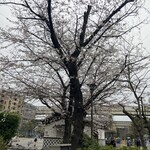 用户对于大衆酒場 坂本商店 門前仲町店的评论图
