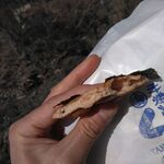 User's review image for 手焼せんべい くし田