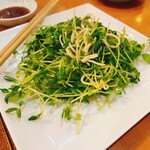 用户对于川香苑 本店的评论图
