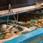 用戶對於磯丸水産 天満駅前店的評論圖
