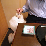 用戶對於白金台すし兆的評論圖