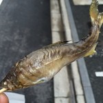 用戶對於山元馬場商店的評論圖