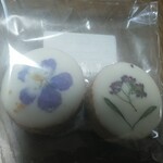 用戶對於コチト ハナトオカシト的評論圖