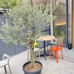 User's review image for paraiso