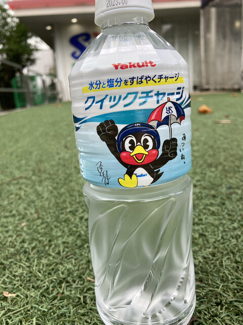 用户对于東京ヤクルトスワローズ Official Goods Shop つば九郎店的评论高清图