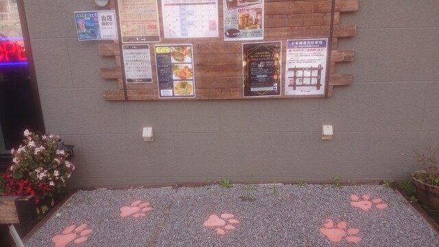 用户对于Cafe&Diningbar With Cat's Lamp的评论高清图