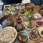 用户对于小春日和 TOKYO的评论图