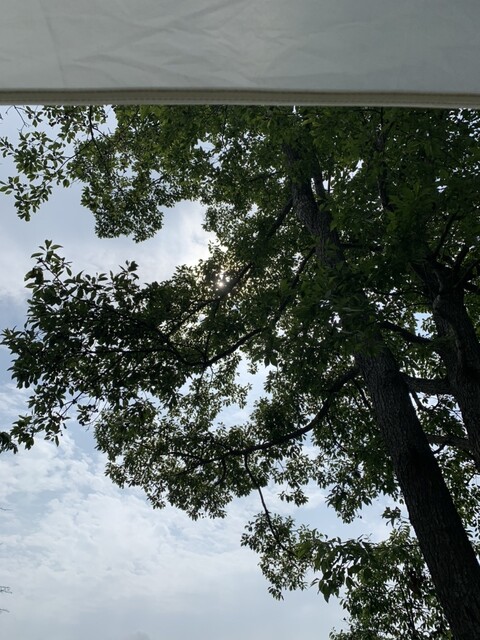 用戶對於王子サーモン 北海道工場直営所的評論高清圖