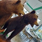 用戶對於とかち亭的評論圖