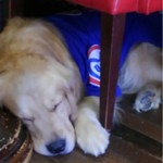 User's review image for cafe de monca