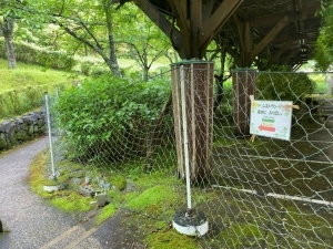 用户对于赤おに的评论图