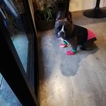 用戶對於インカー コーヒー アンド トースト バー的評論圖