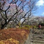 用戶對於オネヨ的評論圖