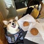 用戶對於DOLCE TACUBO的評論圖