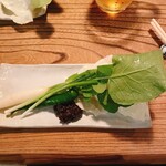 用户对于ヤマト的评论图