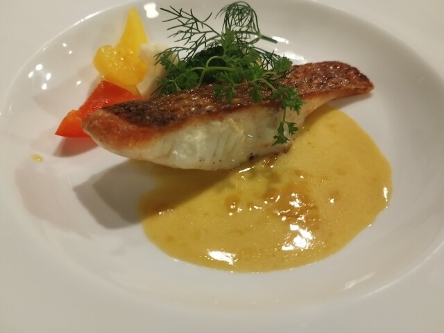 User's recommendation image for アデニア