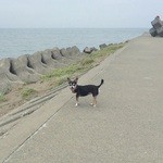 用户对于み義的评论图