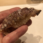 用户对于鮨西光的评论图