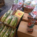 用户对于やおや植木商店的评论图