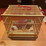 用戶對於白川たむら的評論圖