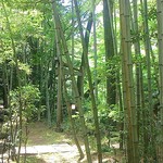 用戶對於山の神的評論圖