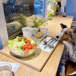 用户对于CITRON的评论图