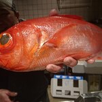 用户对于魚肴食堂 魚ふじ的评论图