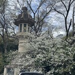 User's review image for 靖國八千代食堂