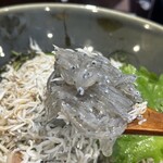 用戶對於しらす問屋 ヨシマル的評論圖