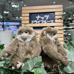 用户对于ビオラル 靭店的评论图